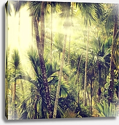 Постер Тропический лес 2