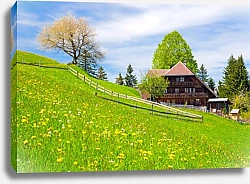 Постер Швейцария. Пейзаж с горным шале