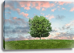 Постер Одинокое зеленое дерево на холме