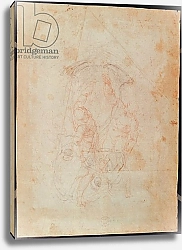 Постер Микеланджело (Michelangelo Buonarroti) Study of two male figures