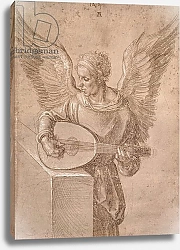 Постер Дюрер Альбрехт Angel playing a lute, 1491