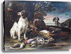 Постер Конинк Давид Мертвые птицы и игра с собаками и совой