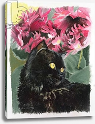 Постер Робинсон Анне (совр) Black tulips