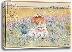 Постер Маковский Константин A Young Girl in a Field of Salvia, Oxeye Daisies and Meadow Foxtail,