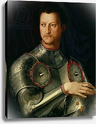 Постер Бронзино Анджело Portrait of Cosimo I de Medici