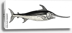 Постер Ретро иллюстрация с меч-рыбой