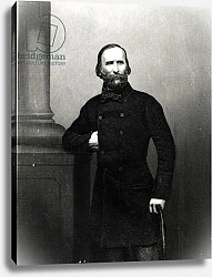 Постер Школа: Итальянская 19в Portrait of Giuseppe Garibaldi