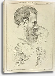 Постер Рубенс Петер (Pieter Paul Rubens) Three studies of men’s heads