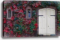 Постер Белая дверь среди осенних листьев