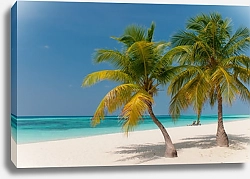 Постер Тропический пляжный рай №2