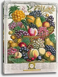 Постер Кастилс Питер October, from 'Twelve Months of Fruits', by Robert Furber engraved by Henry Fletcher, 1732