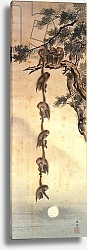 Постер Школа: Японская Monkeys reaching for the Moon, Edo Period