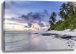 Постер Тропический пляж с ракушками и пальмами