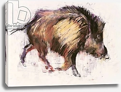 Постер Адлингтон Марк (совр) Wild Boar Trotting, 1999