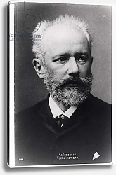 Постер Piotr Ilyich Tchaikovsky 1
