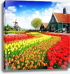Постер Сельский пейзаж с ветряной мельницей и тюльпанами, Нидерланды