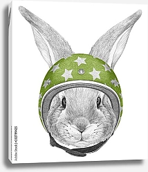 Постер Портрет кролика со шлемом