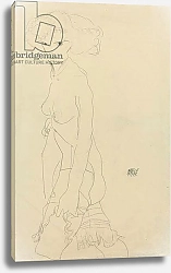 Постер Шиле Эгон (Egon Schiele) Female Nude; Madchenakt, 1911