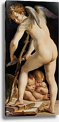 Постер Пармиджанино Cupid Carving a Bow, 1533/34