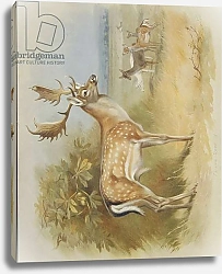 Постер Торнбурн Арчибальд (Бриджман) Dama dama, fallow deer, Plate 38 from British Mammals Vol. 1 & 2 by Archibald Thorburn, 1920-21