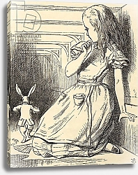 Постер Тениель Джон The White Rabbit is late, from 'Alice's Adventures in Wonderland' by Lewis Carroll, published 1891