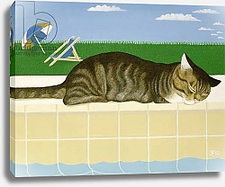Постер Фристоун Джоан (совр) Tabby cat by a pool
