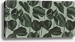 Постер Шелковые листья филодендрона