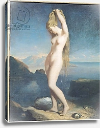 Постер Чассеро Теодор Venus Anadyomene, or Venus of the Sea, 1838