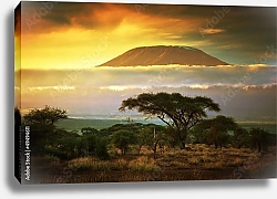 Постер Кения, гора Килиманджаро 2