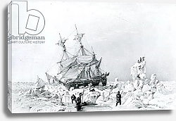 Постер Школа: Английская 19в. HMS Terror held on ice, 1836