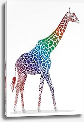 Постер Разноцветный жираф