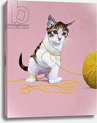 Постер Школа: Английская 20в. Kitten with Ball of Wool