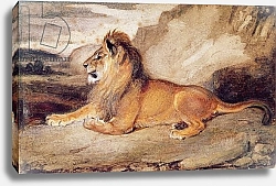 Постер Барье Антуан Lion Resting