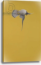 Постер Хейворд Тим (совр) Yellow Stoop
