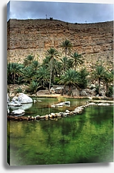 Постер Оазис в пустыне Омана
