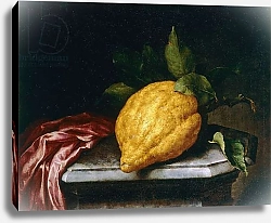 Постер Бимби Бартоломью Citron