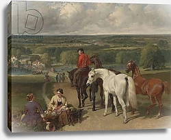 Постер Херринг Джон Exercising the royal horses, 1847-55