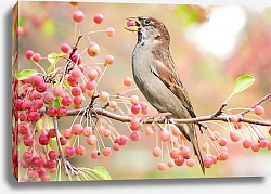 Постер Птица на ветка с красными ягодами