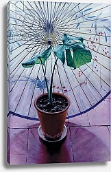 Постер Кук Симон Chinese Umbrella
