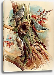 Постер Nuthatch And Tree Creeper