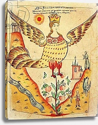 Постер Школа: Русская 19в. Sirin, The Bird of Paradise