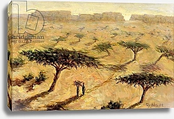 Постер Уиллис Тилли (совр) Sahelian Landscape, 2002