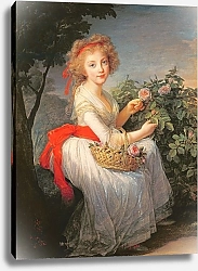 Постер Виджи-Лебран Элизабет Portrait of Marie-Christine of Bourbon-Naples