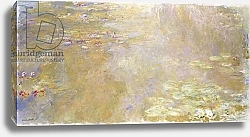 Постер Моне Клод (Claude Monet) Waterlily Pond, c.1917-1919