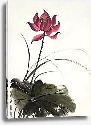 Постер Китайский цветок лотоса 1