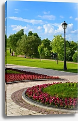 Постер Летний парк Царицыно в Москве, Россия