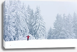 Постер Лыжник в зимнем лесу