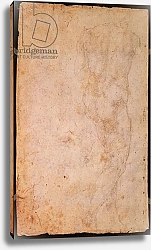 Постер Микеланджело (Michelangelo Buonarroti) W.48 Sketch of a standing male nude, rear view