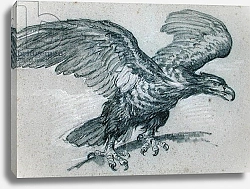 Постер Прюдон Пьер An Eagle, 1811