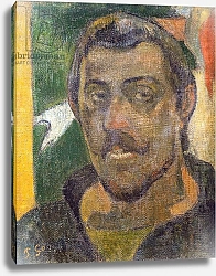 Постер Гоген Поль (Paul Gauguin) Self Portrait, c.1890-93